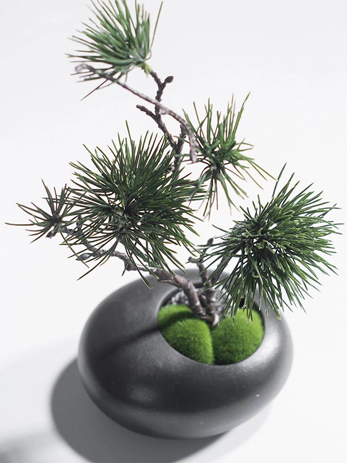 Kunstmatige dennenboom in zwarte keramische vaas - 11"
