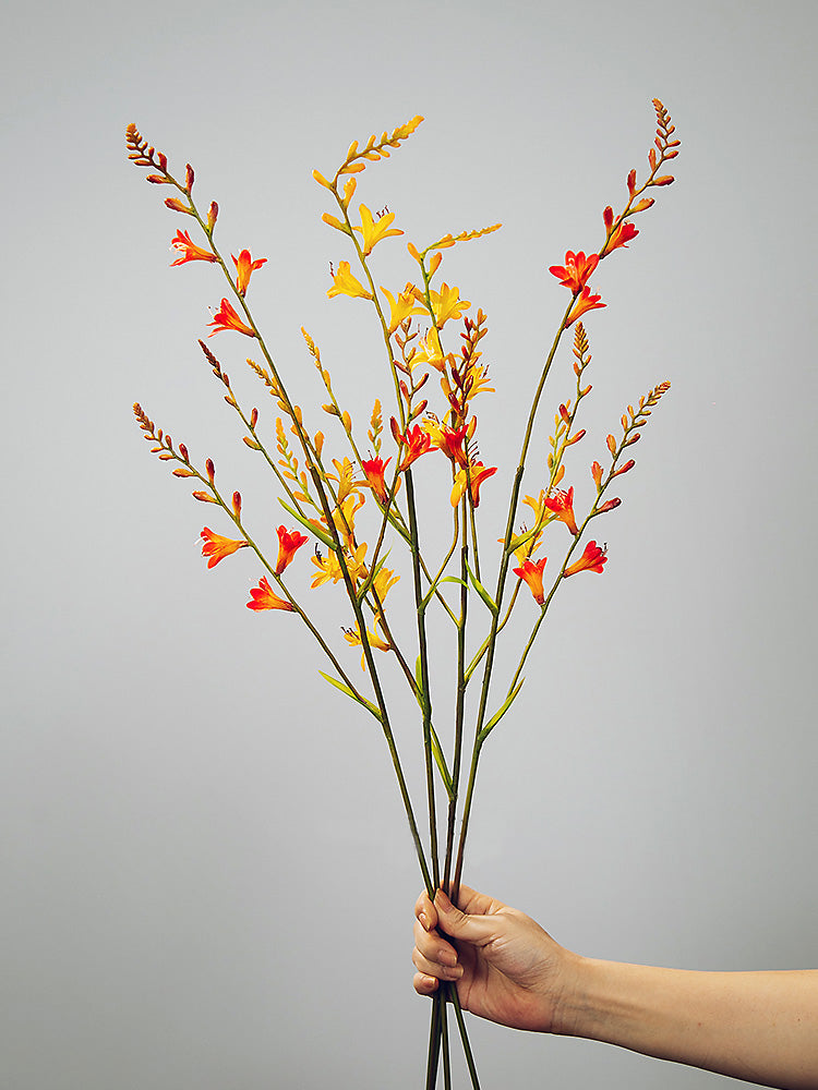 Stelo di Orchidea di Fuoco Artificiale (Renanthera) - Spruzzo Floreale Alto per Decorazione in Vaso - 37"