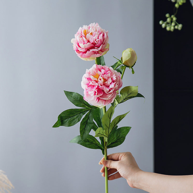 Real Touch 3-Head Peony Stem - 29.5"