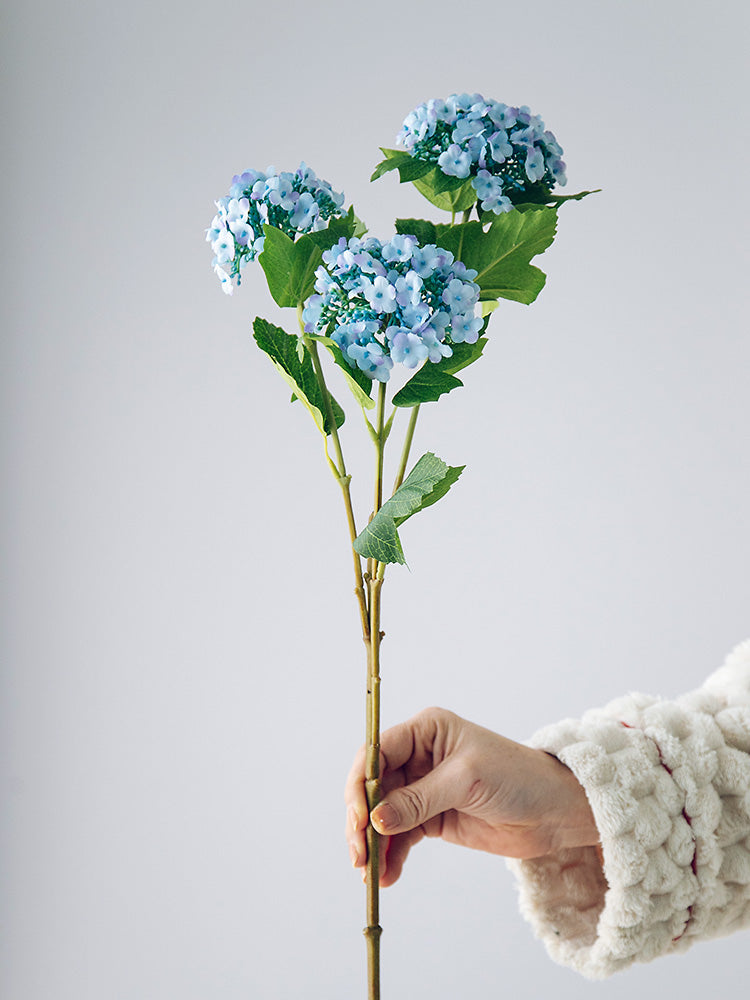 3-Head Hydrangea in Blue & White Porcelain Vase - 21.6"