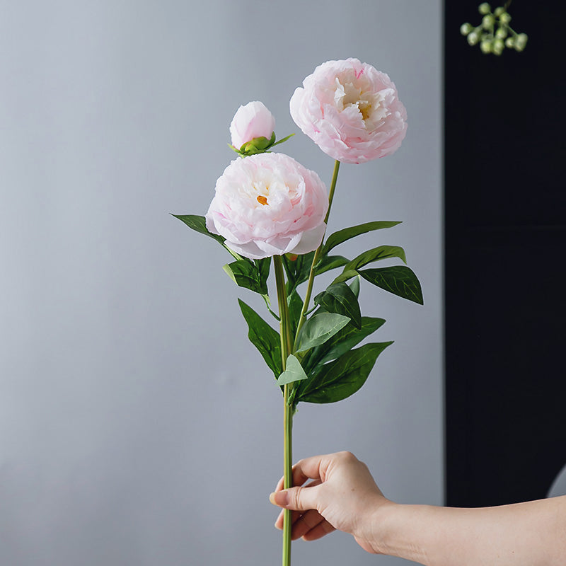 Stelo di Peonia Real Touch a 3 Teste in Vaso Blu e Bianco - 20"