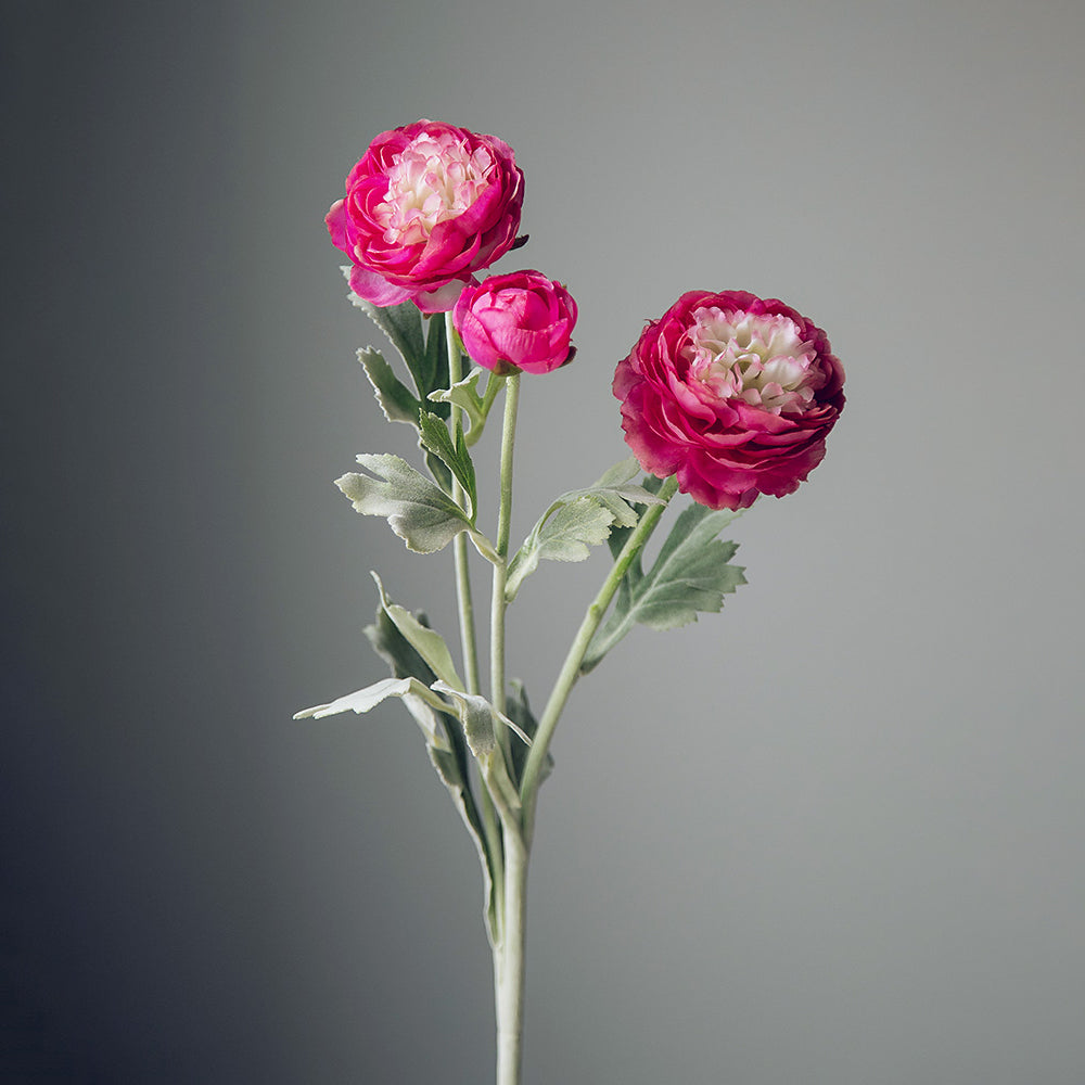 Real Touch 3-Testa Ranuncolo Persiano - 20.5"