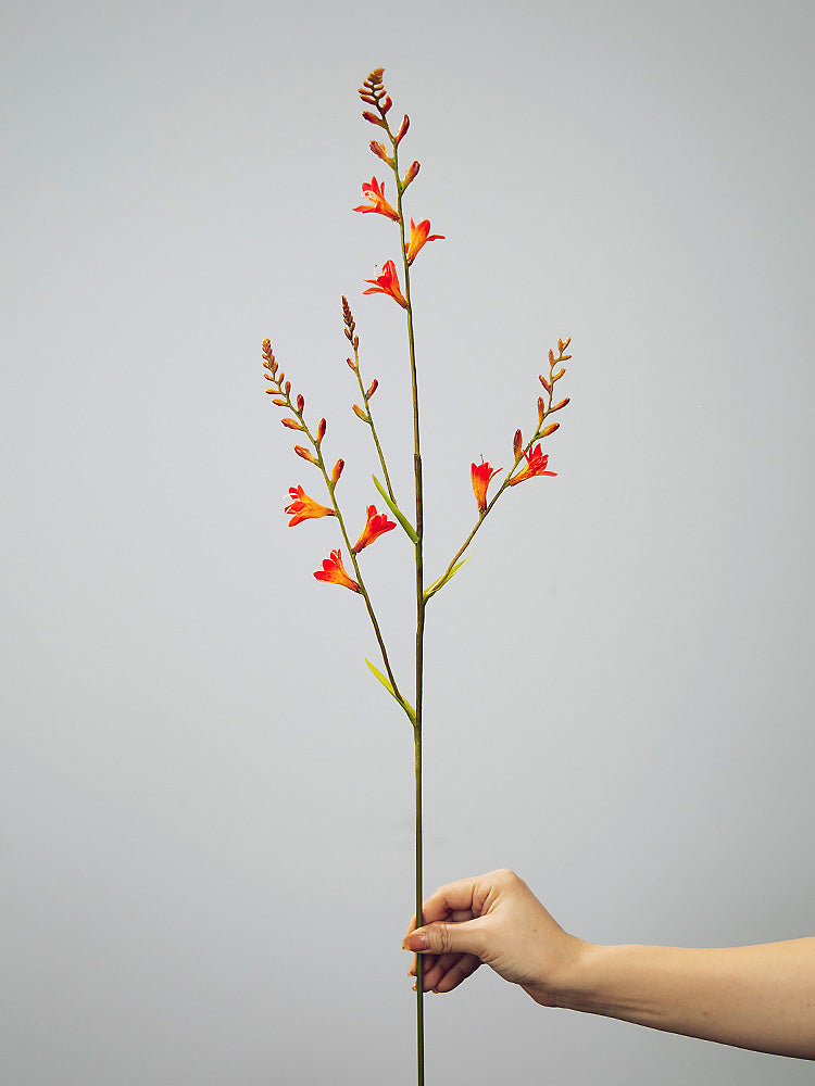 Stelo di Orchidea di Fuoco Artificiale (Renanthera) - Spruzzo Floreale Alto per Decorazione in Vaso - 37"