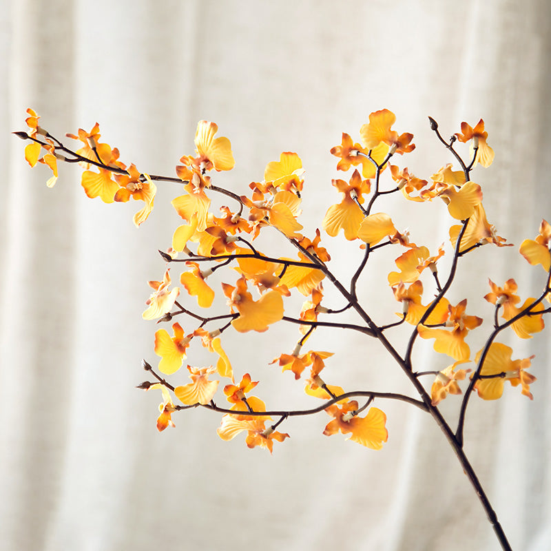 Oncidium-Orchideen Seidenblume - 23,5"