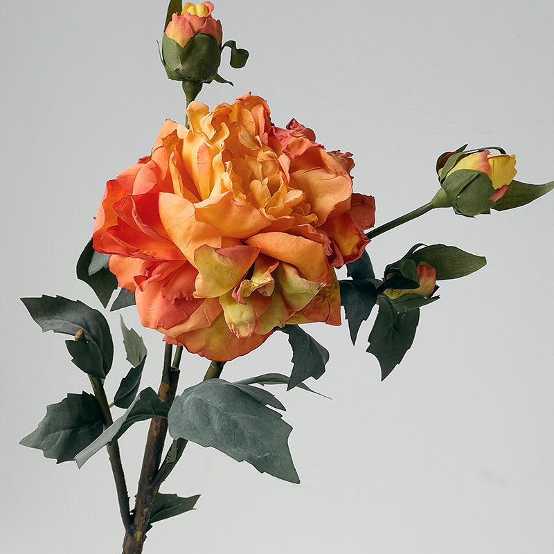 Artificial Peony Stem with Burnt Edge Petals - Decorative Floral Branch – 23.6"