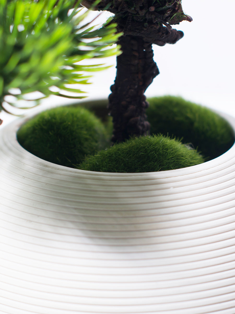 Albero di pino finto in vaso di ceramica bianca - 12.6"