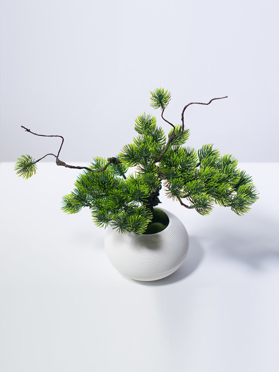 Albero di pino finto in vaso di ceramica bianca - 12.6"