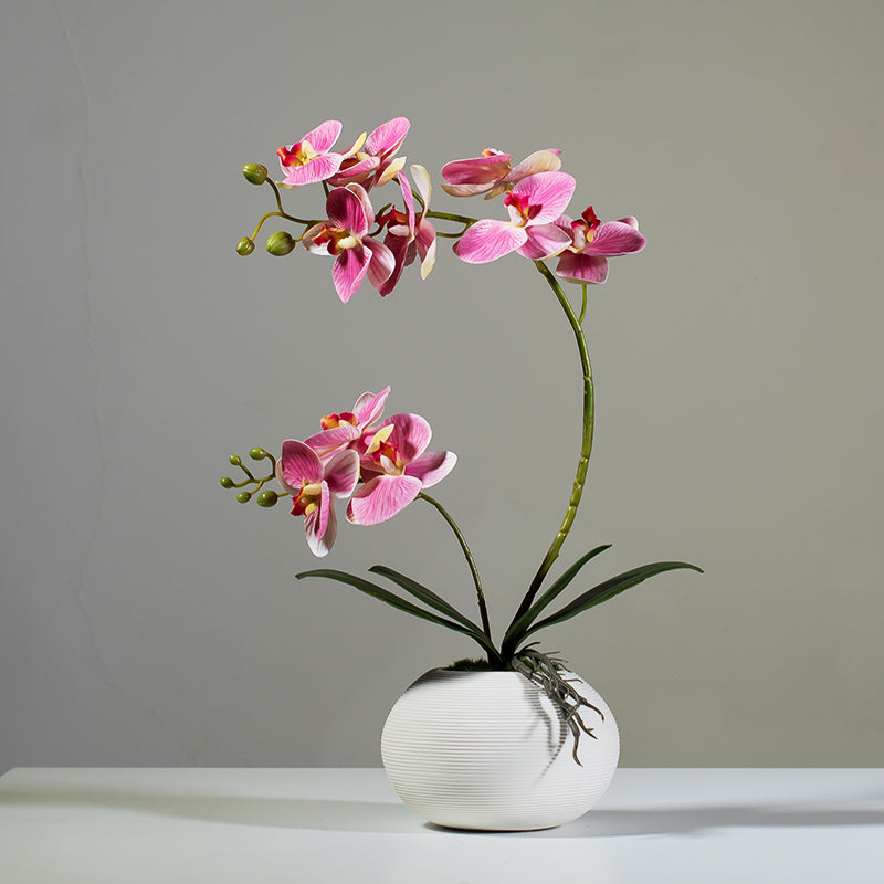 Composizione floreale artificiale di orchidea Phalaenopsis - 15.7"