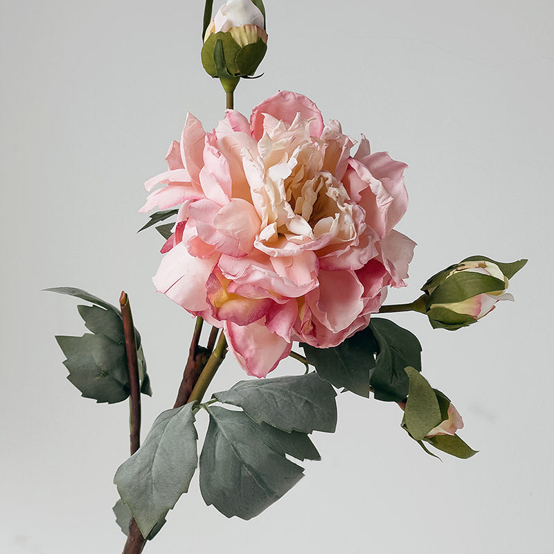 Artificial Peony Stem with Burnt Edge Petals - Decorative Floral Branch – 23.6"