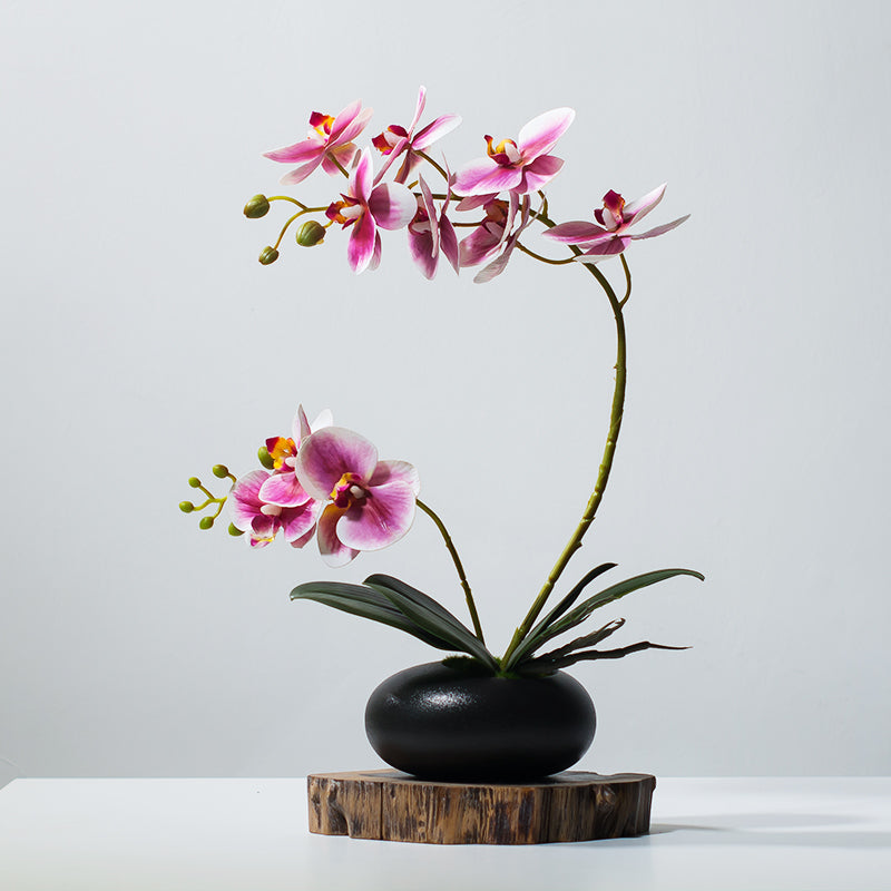 Faux Phalaenopsis Orchid Arrangement in Black Ceramic Vase - 15.7"