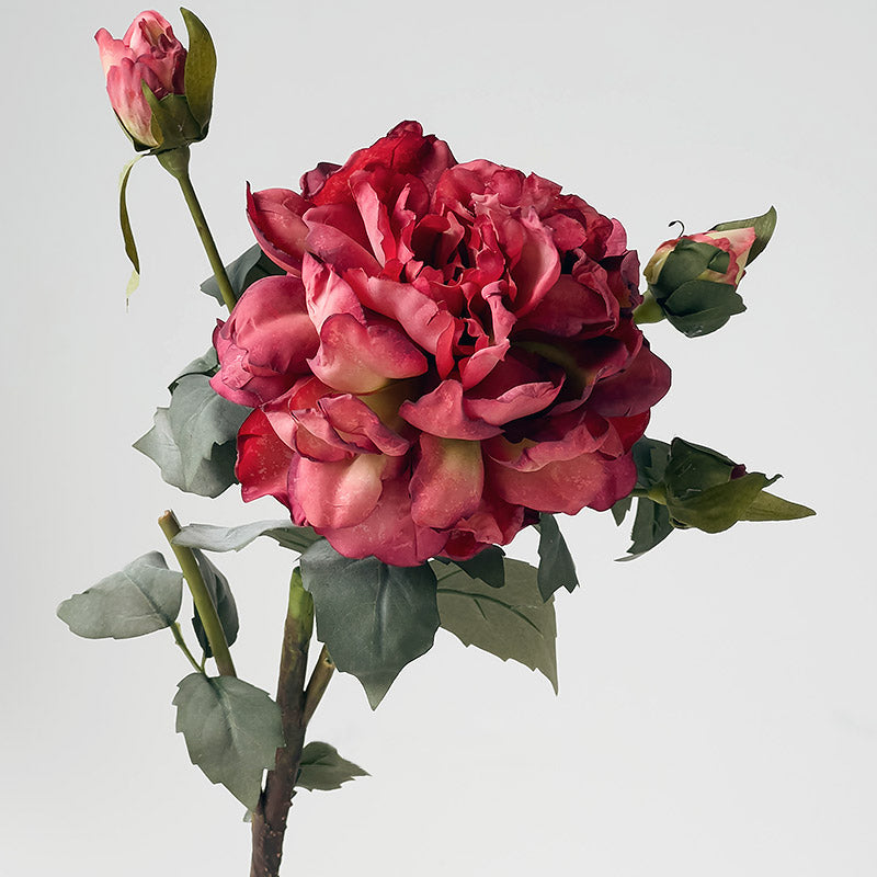 Artificial Peony Stem with Burnt Edge Petals - Decorative Floral Branch – 23.6"