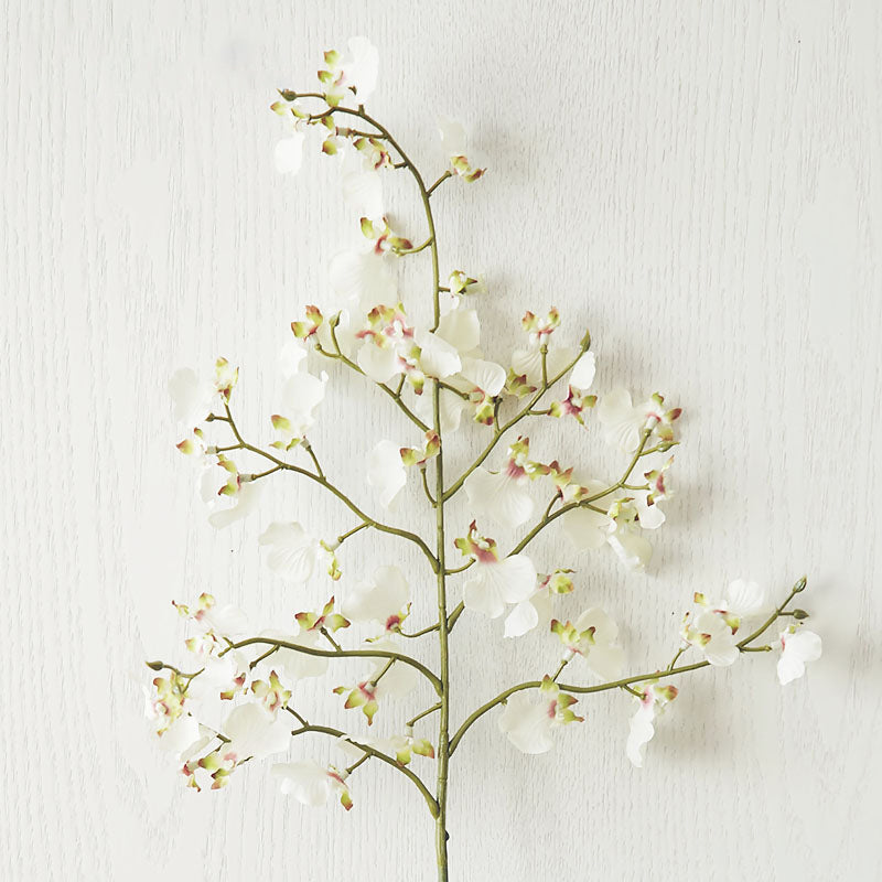 Oncidium-Orchideen Seidenblume - 23,5"