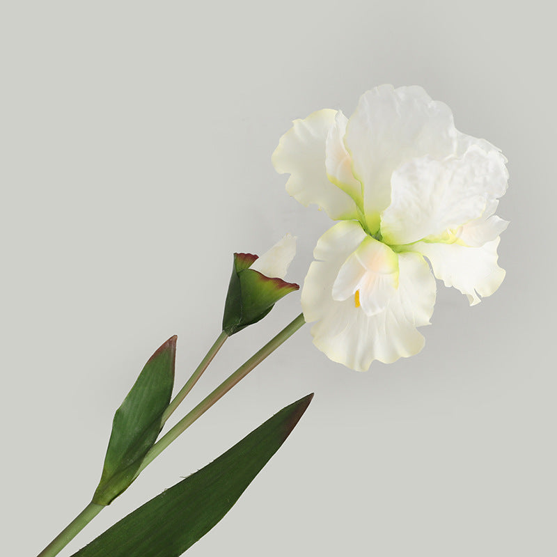Real Touch Artificial Iris Stem - Elegant Tall Floral Branch for Vase Styling - 30"
