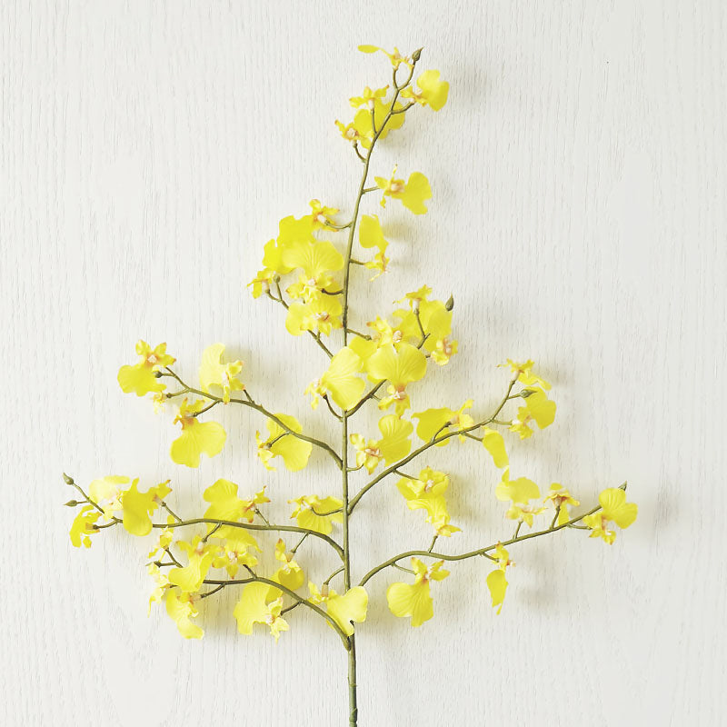 Oncidium-Orchideen Seidenblume - 23,5"