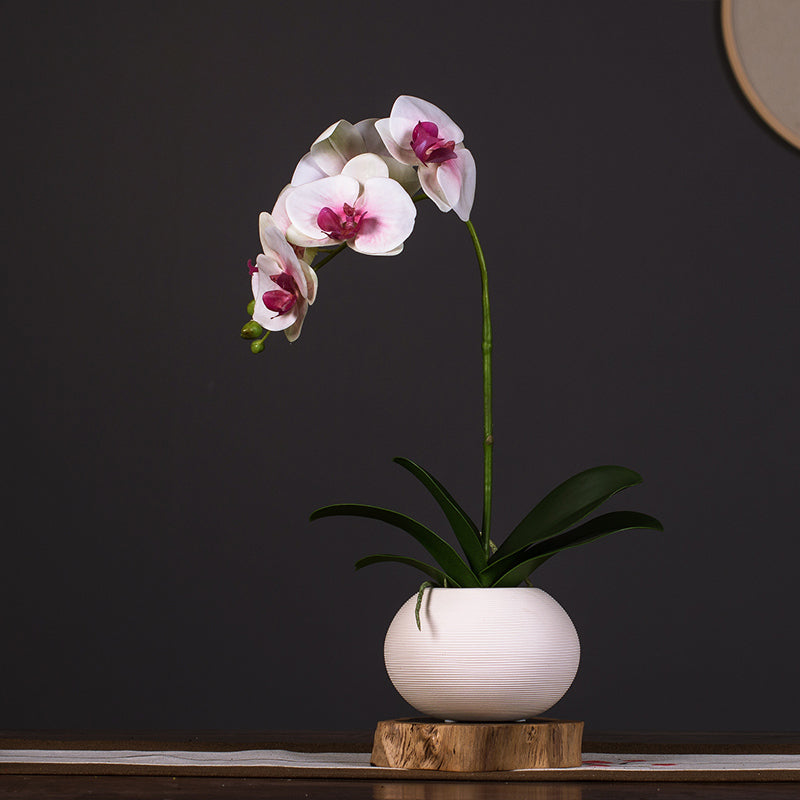 Front view of real touch artificial phalaenopsis orchid arrangement, showcasing natural curves and graceful floral structure.