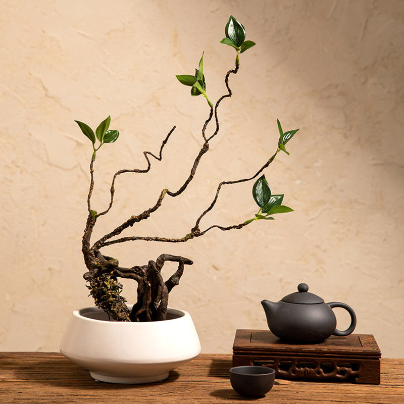 Ficus artificiel en vase en céramique blanche - 19.5"