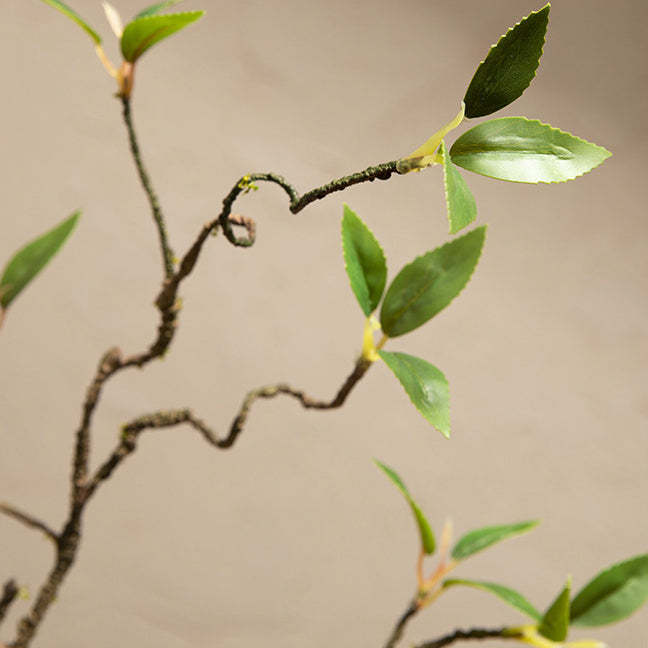 Silk Ficus Branch in Black Glazed Ceramic Vase - 10"