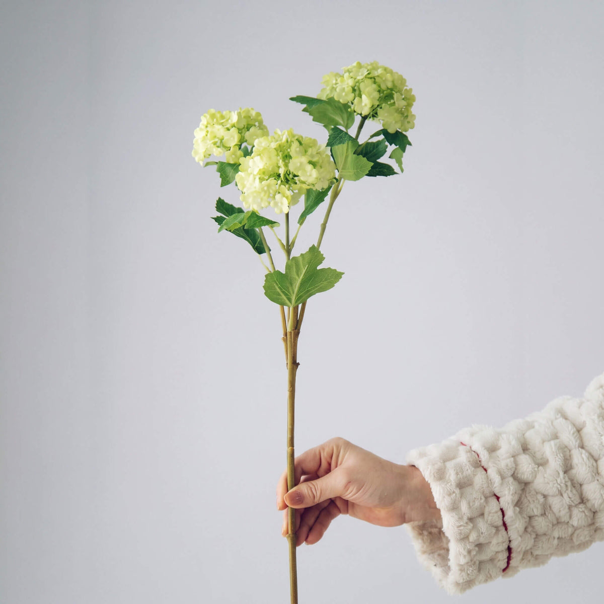 Close-up of light green artificial hydrangea blooms, featuring full petals and a soft, natural color gradient.