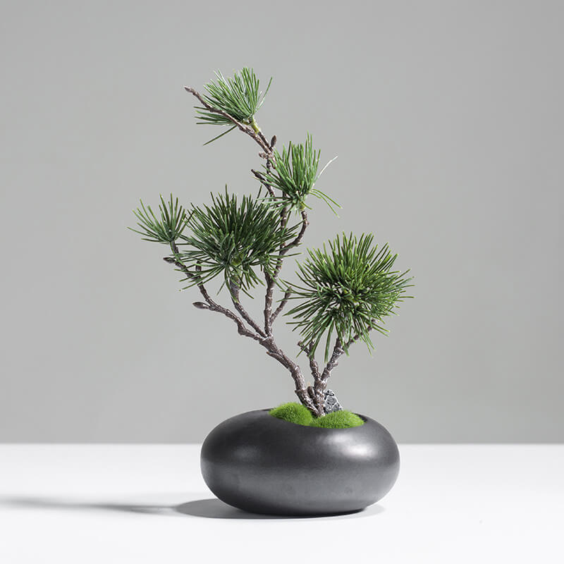 Minimalist artificial pine tree in black ceramic vase styled on a side table for modern home decor