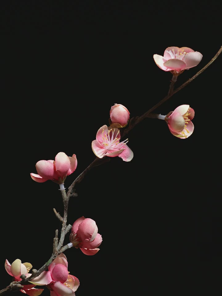 Pruimenbloesem Zijde Arrangement in Zen Ovale Vaas - 21.5"