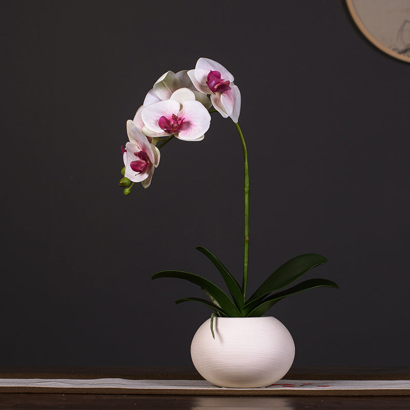 Real touch artificial phalaenopsis orchid arrangement in a white ceramic vase, an elegant and timeless floral centerpiece for home decor.