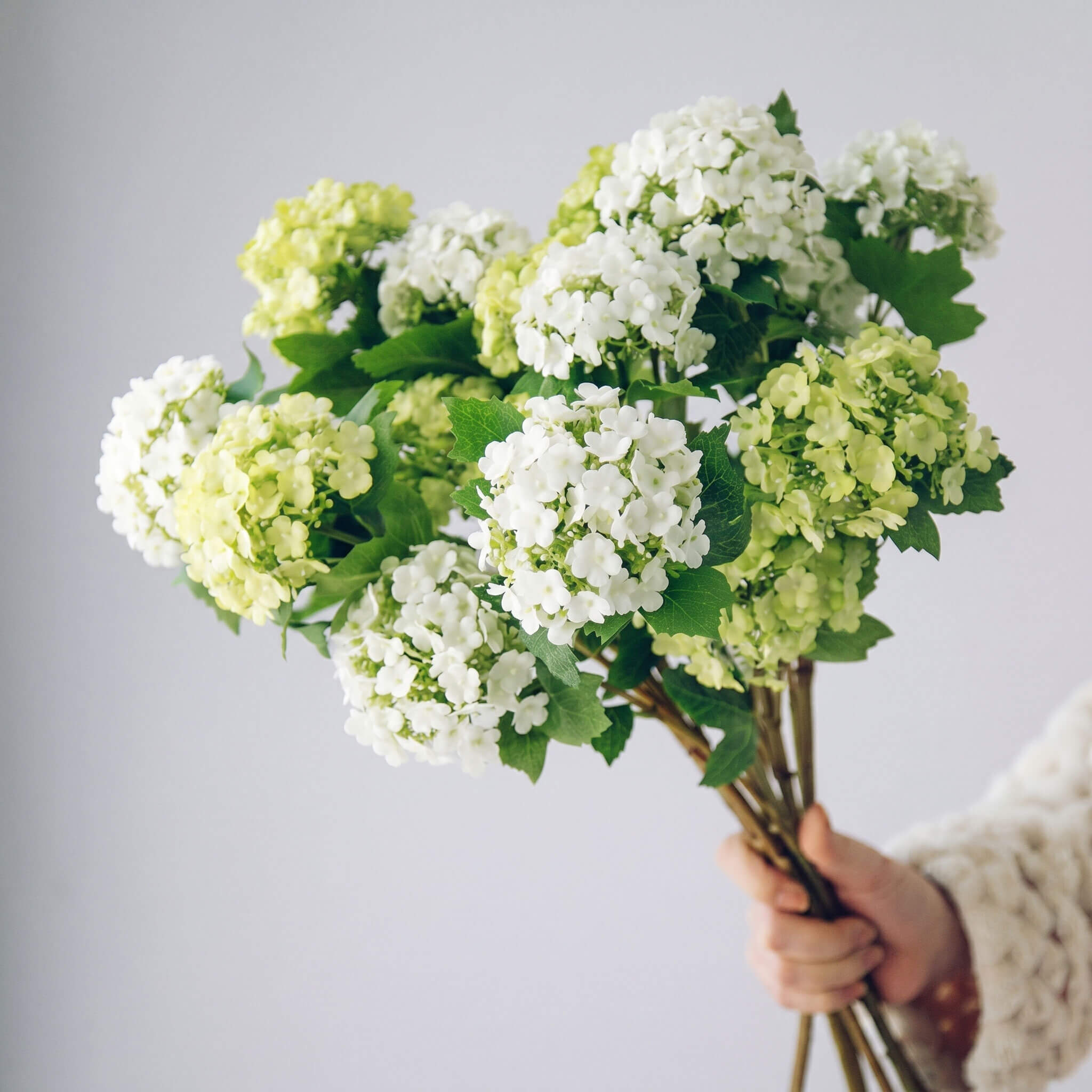 Real Touch Artificial Hydrangea Stem - Full Bloom Floral Branch for Vase Styling - 26"