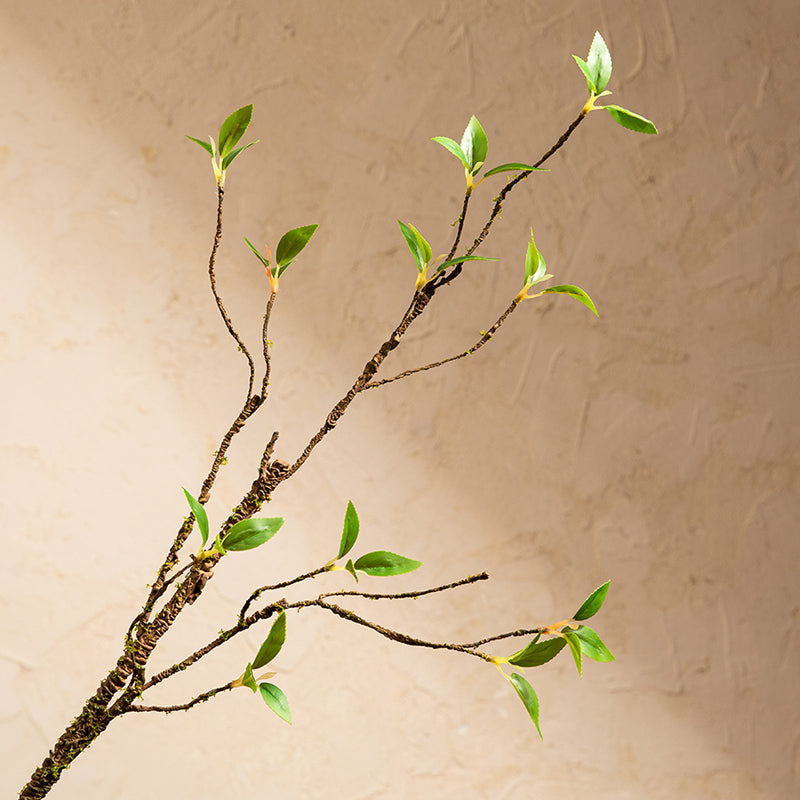 Silk Ficus Branch in White Glazed Ceramic Vase - 15.7"