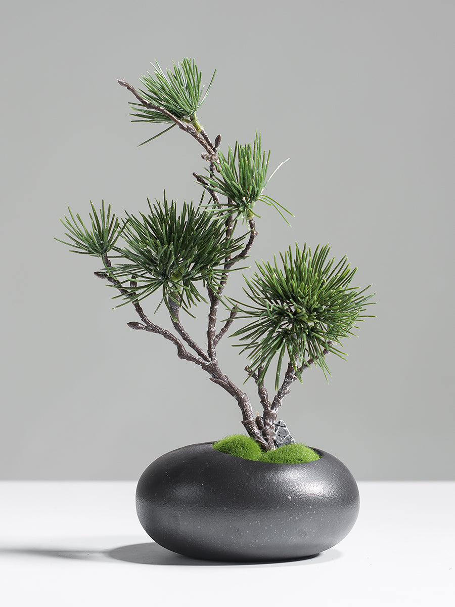 Albero di pino artificiale in vaso di ceramica nera - 11"