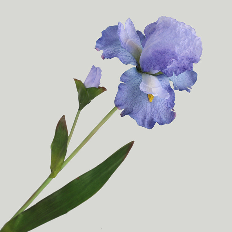 Real Touch Artificial Iris Stem - Elegant Tall Floral Branch for Vase Styling - 30"
