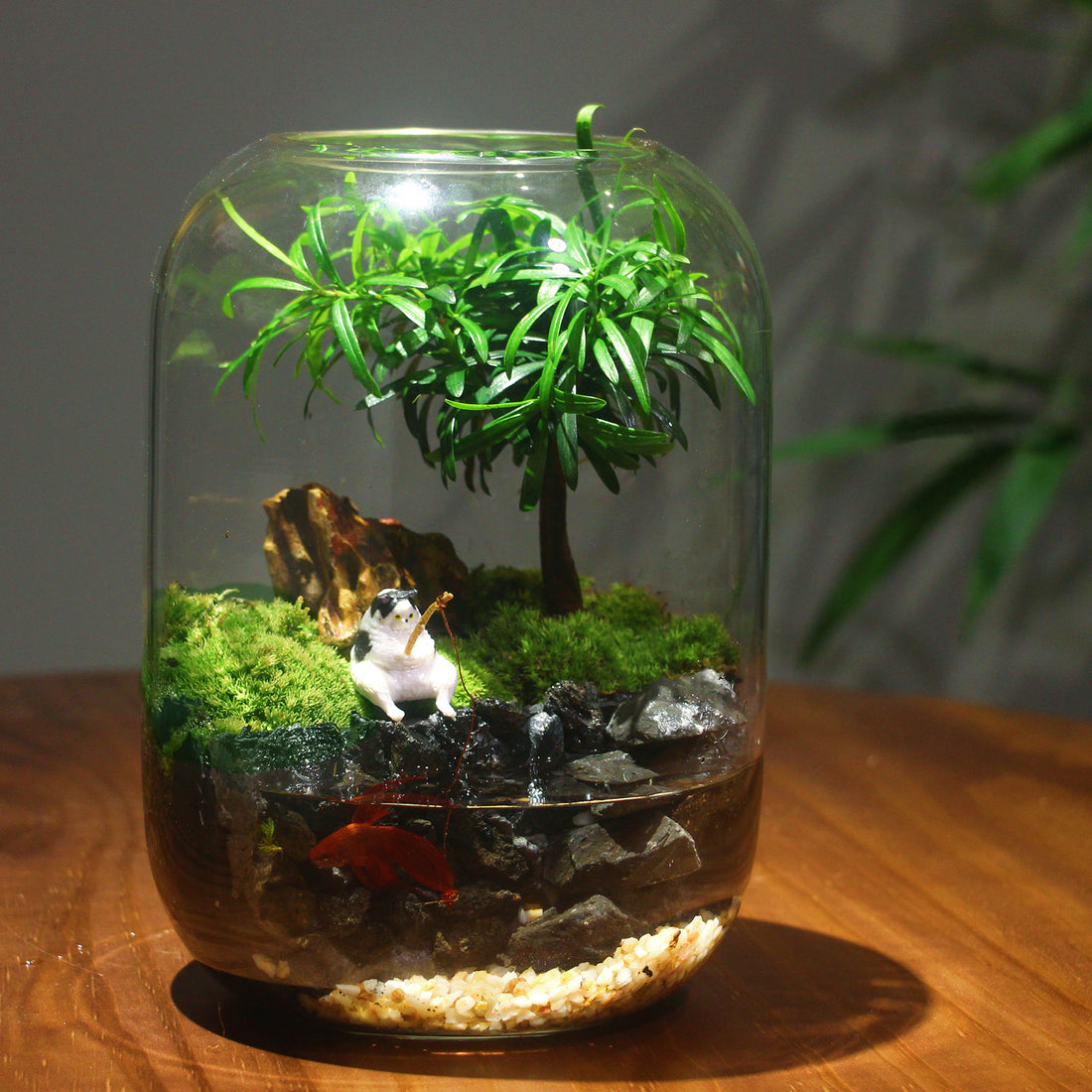 Cat Fishing in Terrarium