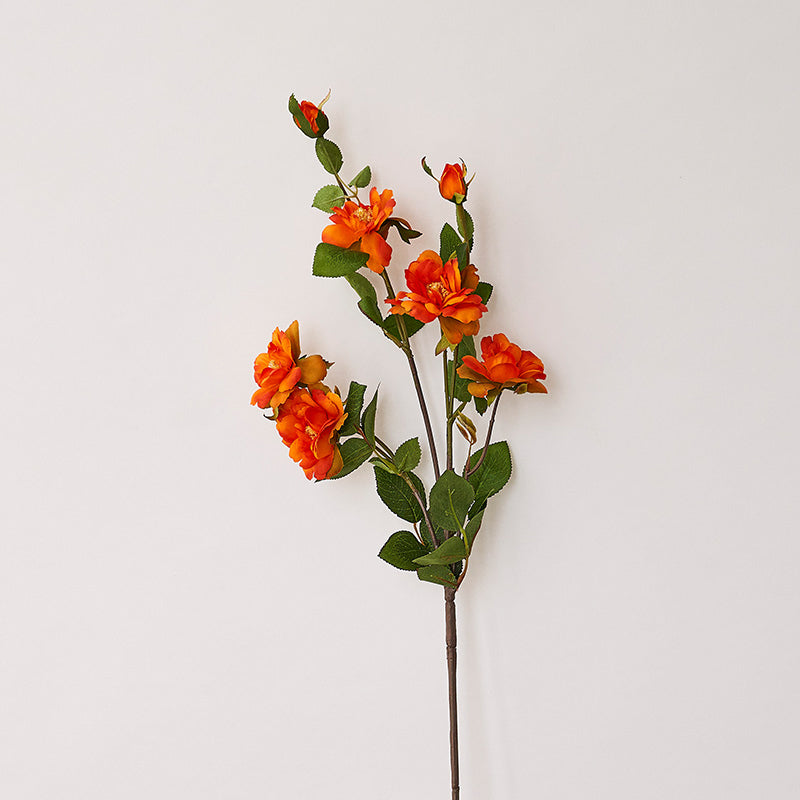 Real Touch Artificial China Rose Stem - Botanical Rose Branch - 29.5"