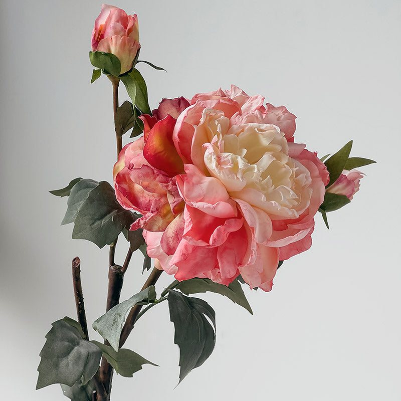 Artificial Peony Stem with Burnt Edge Petals - Decorative Floral Branch – 23.6"