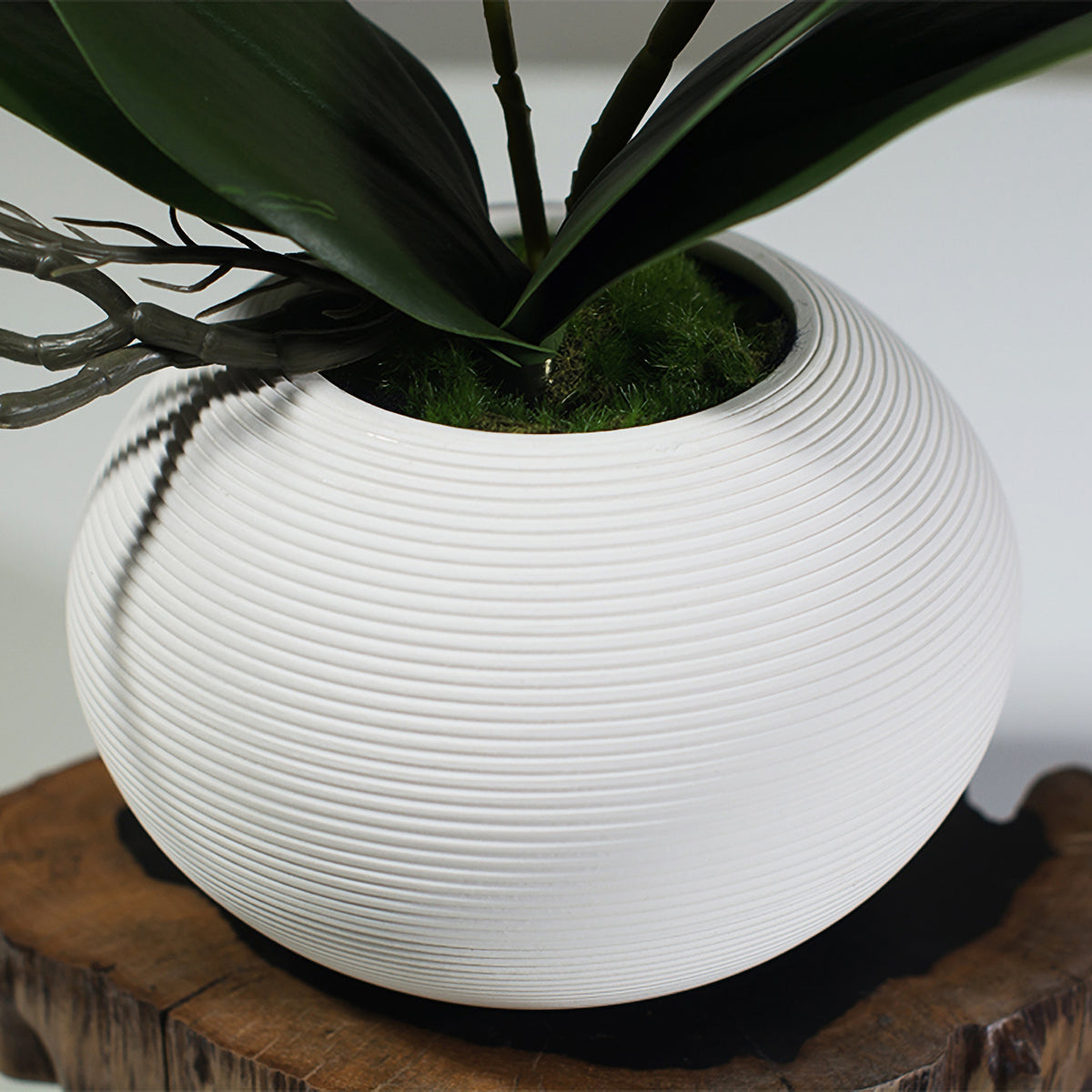 Artificial Phalaenopsis Orchid Arrangement in White Ceramic Vase - 15.7"