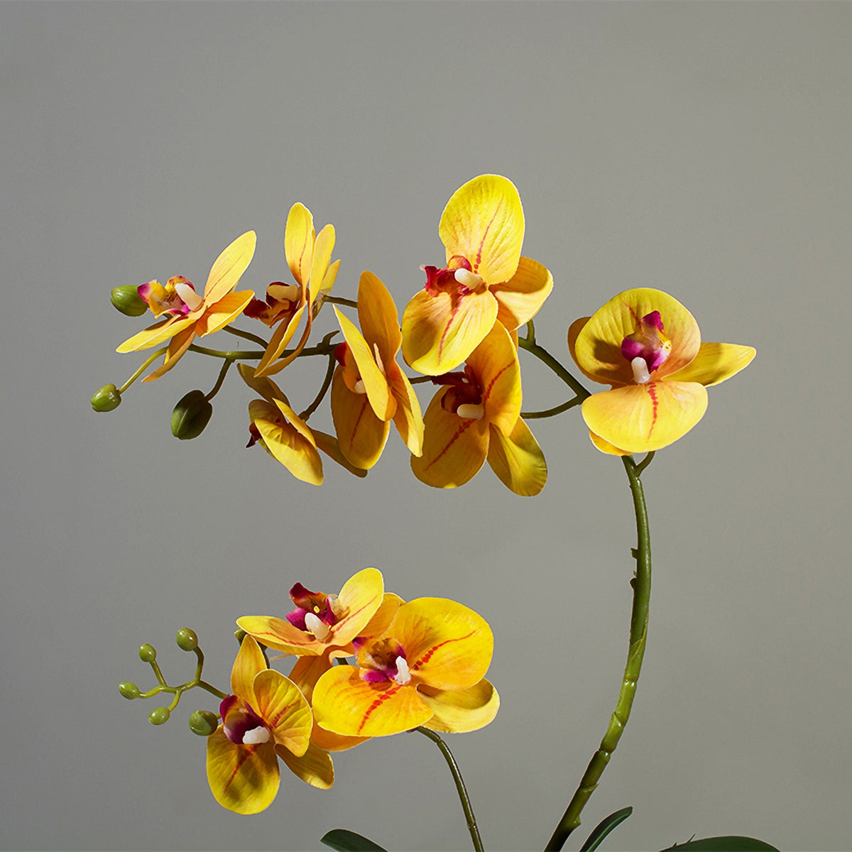 Faux Phalaenopsis Orchid Arrangement in Black Ceramic Vase - 15.7"