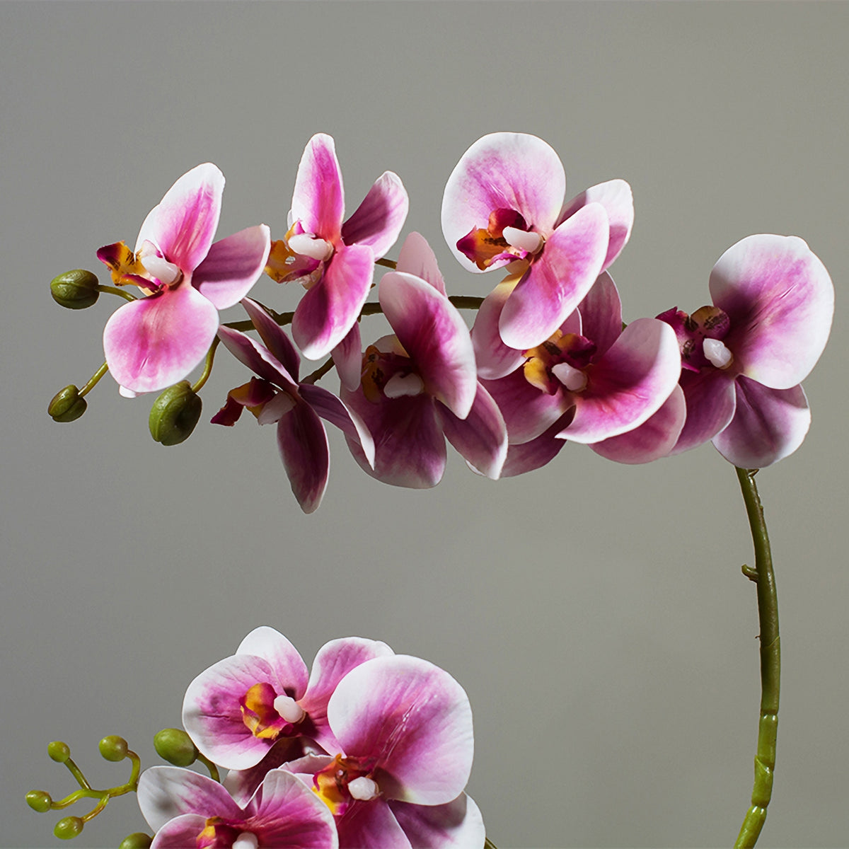 Faux Phalaenopsis Orchid Arrangement in Black Ceramic Vase - 15.7"