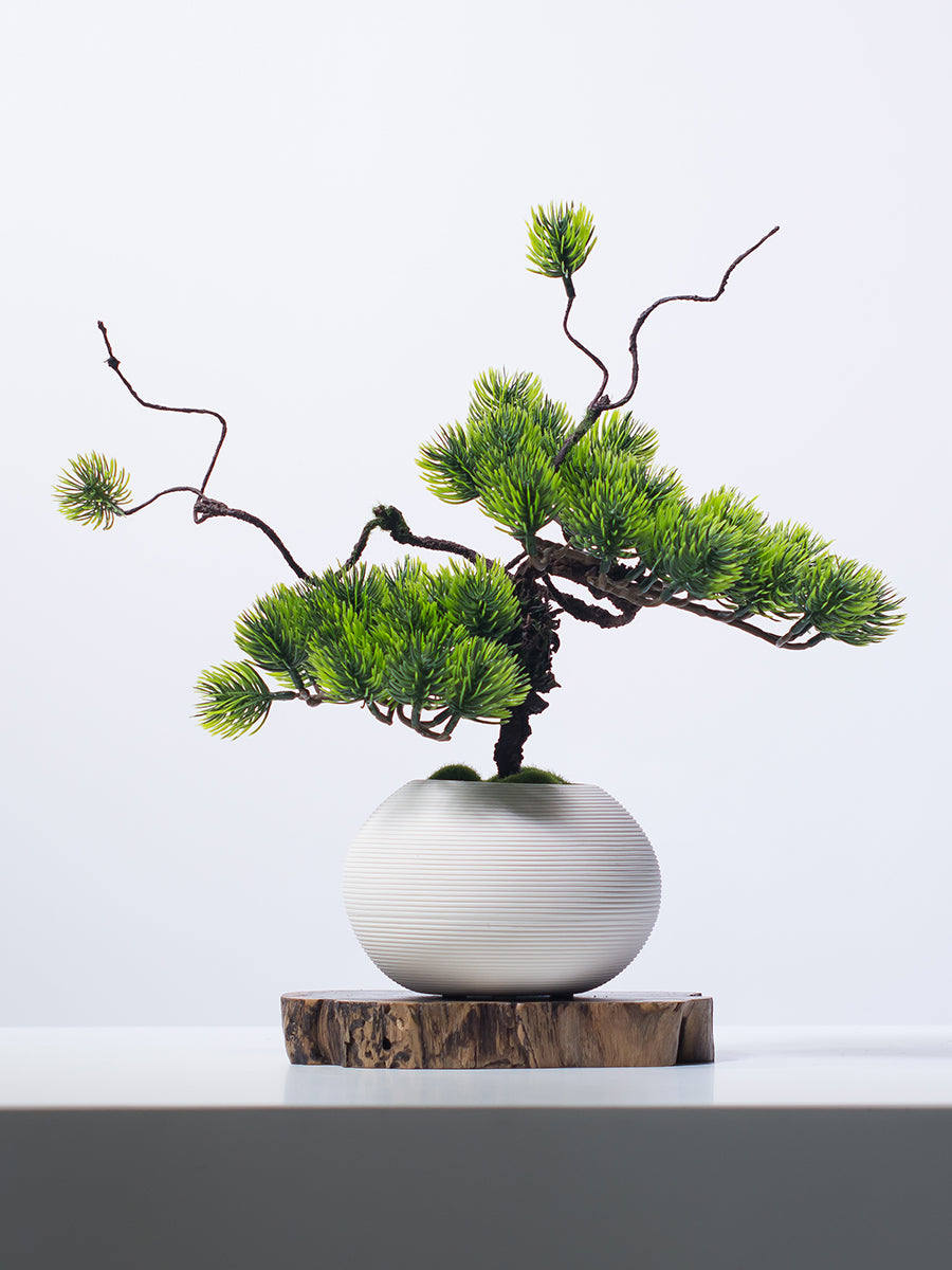 Faux Pine Tree in White Ceramic Vase - 12.6&