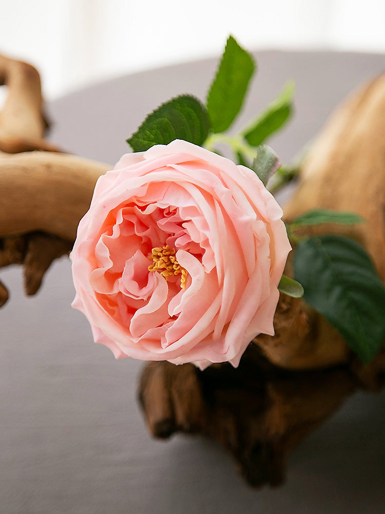 Tallo de rosa artificial Real Touch - Rama elegante de rosa de seda - 17.5"