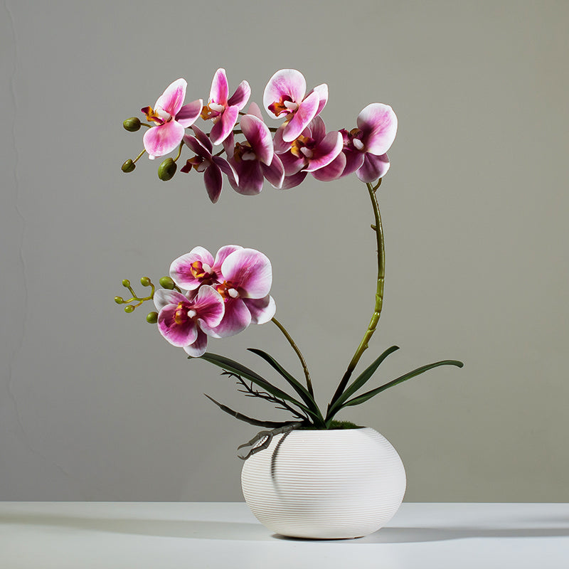 Artificial Phalaenopsis Orchid Arrangement in White Ceramic Vase - 15.7"