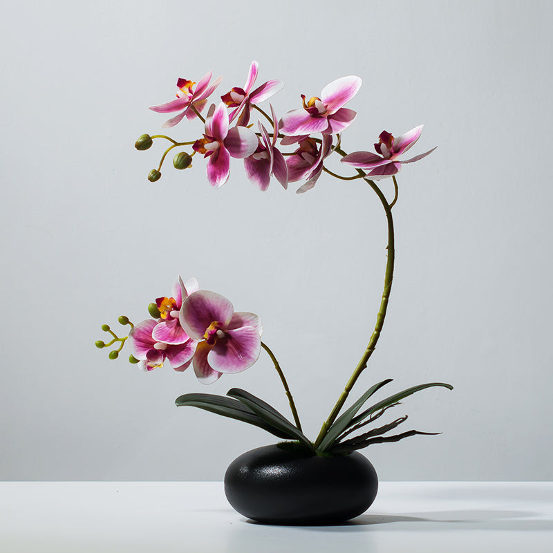 Faux Phalaenopsis Orchid Arrangement in Black Ceramic Vase - 15.7"