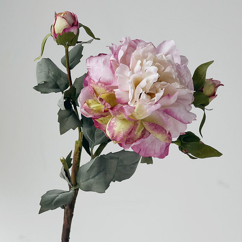 Artificial Peony Stem with Burnt Edge Petals - Decorative Floral Branch – 23.6"