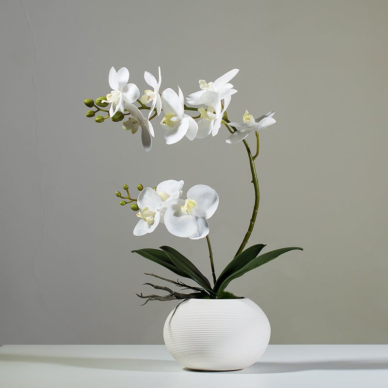 Artificial Phalaenopsis Orchid Arrangement in White Ceramic Vase - 15.7"