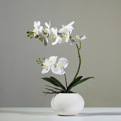 Artificial Phalaenopsis Orchid Flower Arrangement - 15.7&