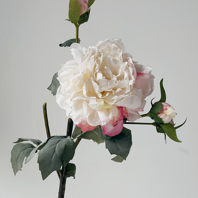 Artificial Peony Stem with Burnt Edge Petals - Decorative Floral Branch – 23.6"