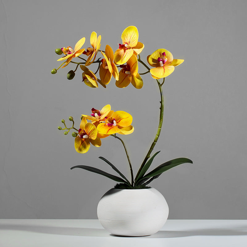 Artificial Phalaenopsis Orchid Arrangement in White Ceramic Vase - 15.7"