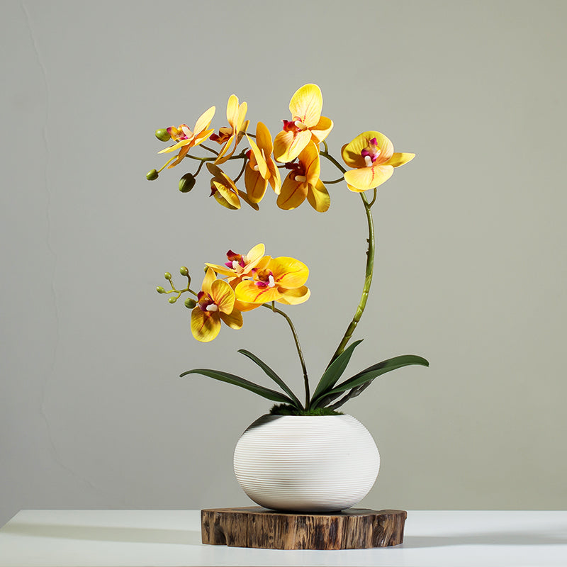 Artificial Phalaenopsis Orchid Arrangement in White Ceramic Vase - 15.7"