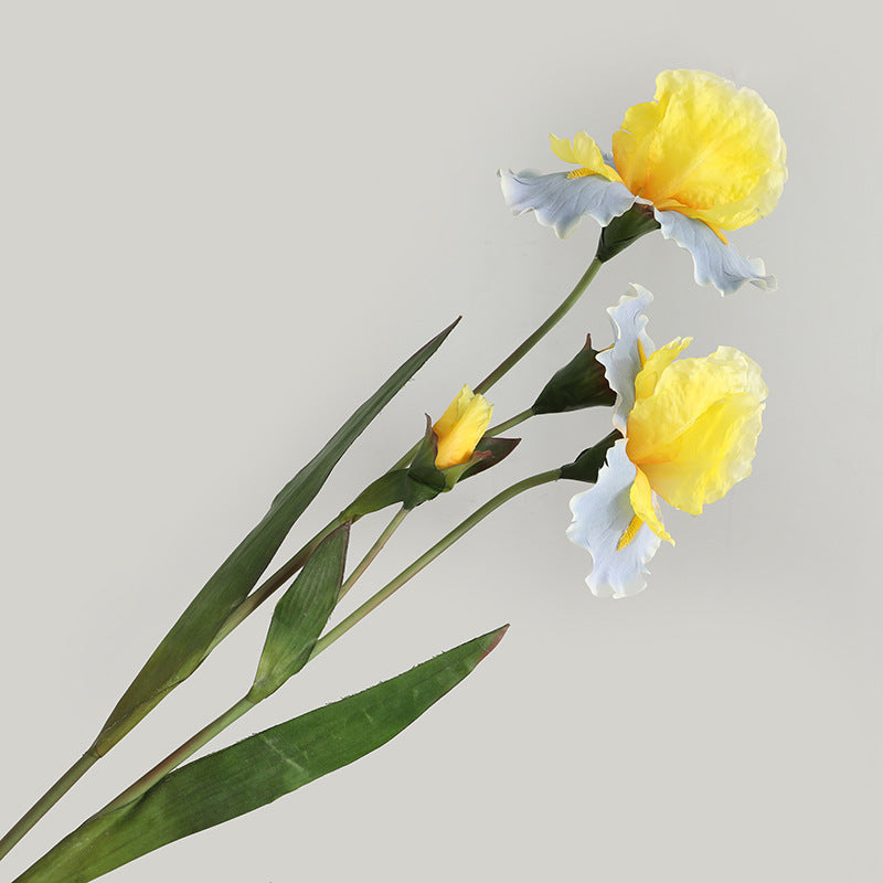 Real Touch Artificial Iris Stem - Elegant Tall Floral Branch for Vase Styling - 30"