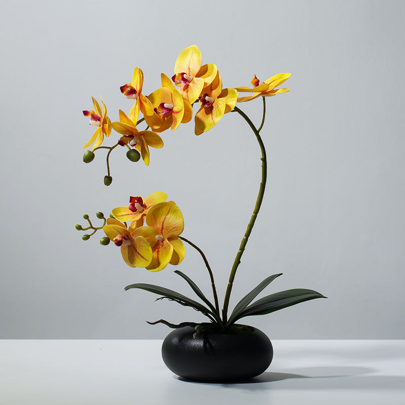 Faux Phalaenopsis Orchid Flower Arrangement - 15.7&