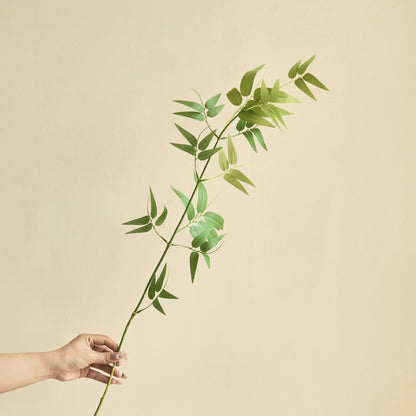 Bambou Zen Tender dans un vase en céramique vintage - 25.5&quot;