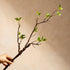 Front view of artificial ficus plant branches with natural greenery look