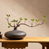 Minimalist artificial ficus plant in black glazed ceramic vase styled on a side table for zen-inspired home decor